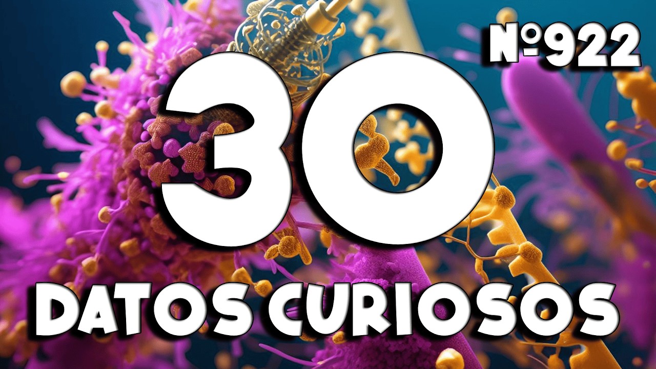 30 DATOS CURIOSOS y COSAS QUE NO SABÍAS ⏰😲 922 #curiomaníatv