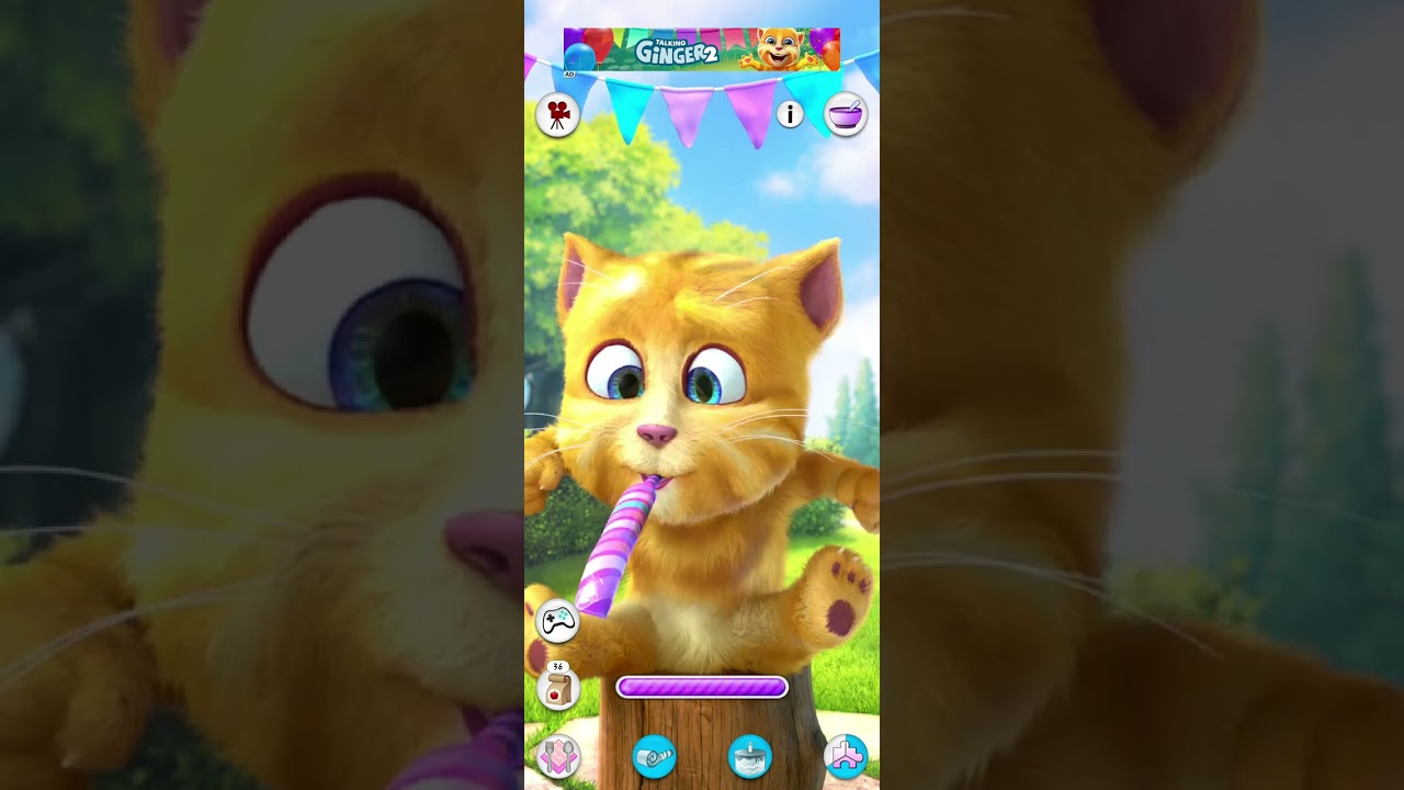 Talking tom cat funny videos 