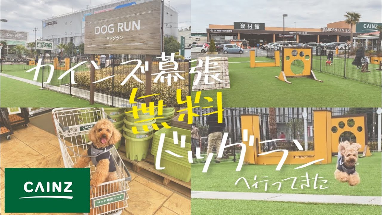 【無料ドッグラン】カインズ幕張ドッグラン🐶/愛犬と過ごす休日🚗🐾