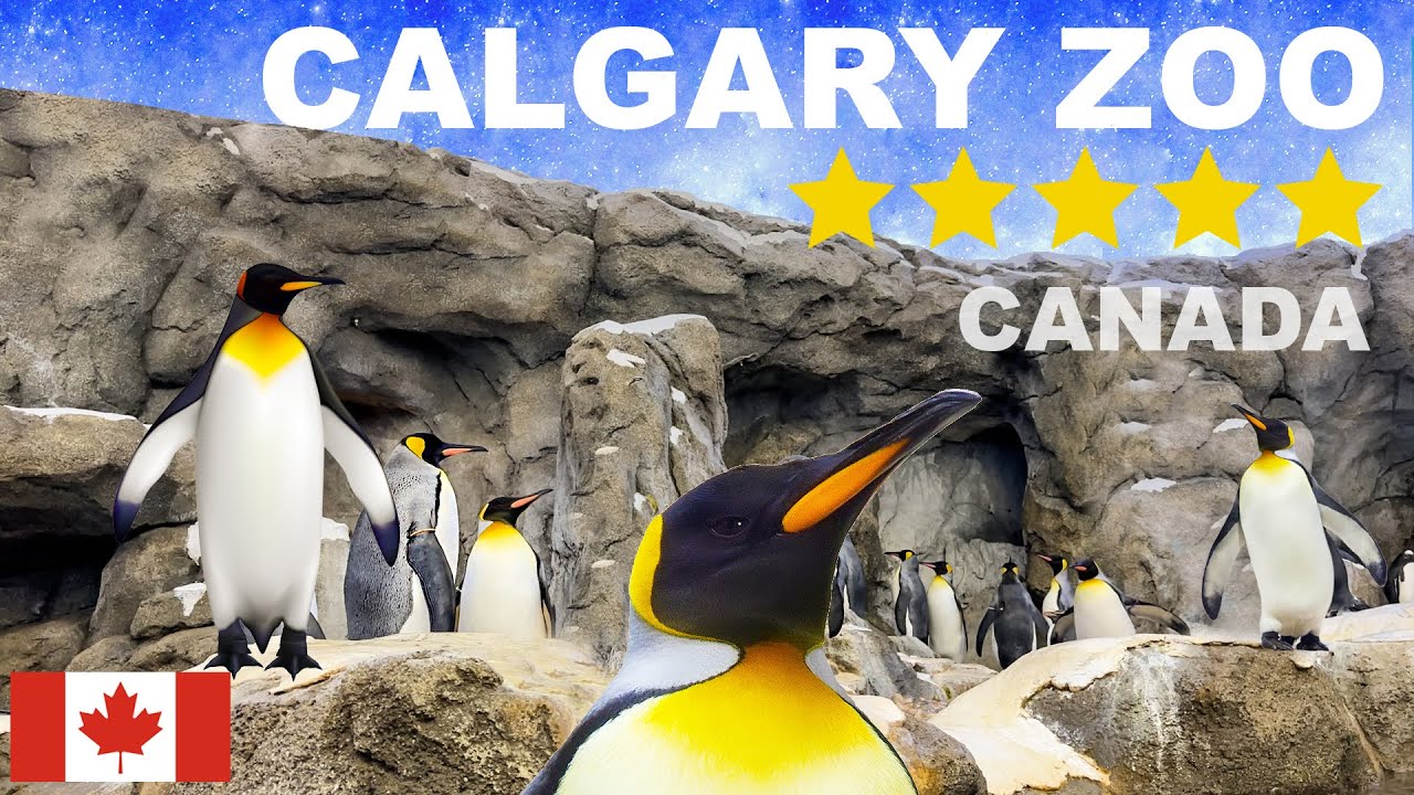 El Zoologico Mas Visitado de Canada | Calgary Zoo 🇨🇦