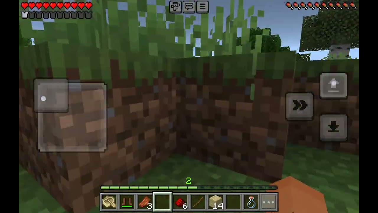 Novo cachorro chamado Toby