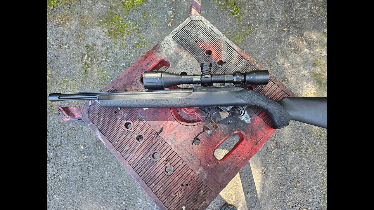THE BSA SWEET 22 RIFLE SCOPE AND THE RUGER 10/22 A 