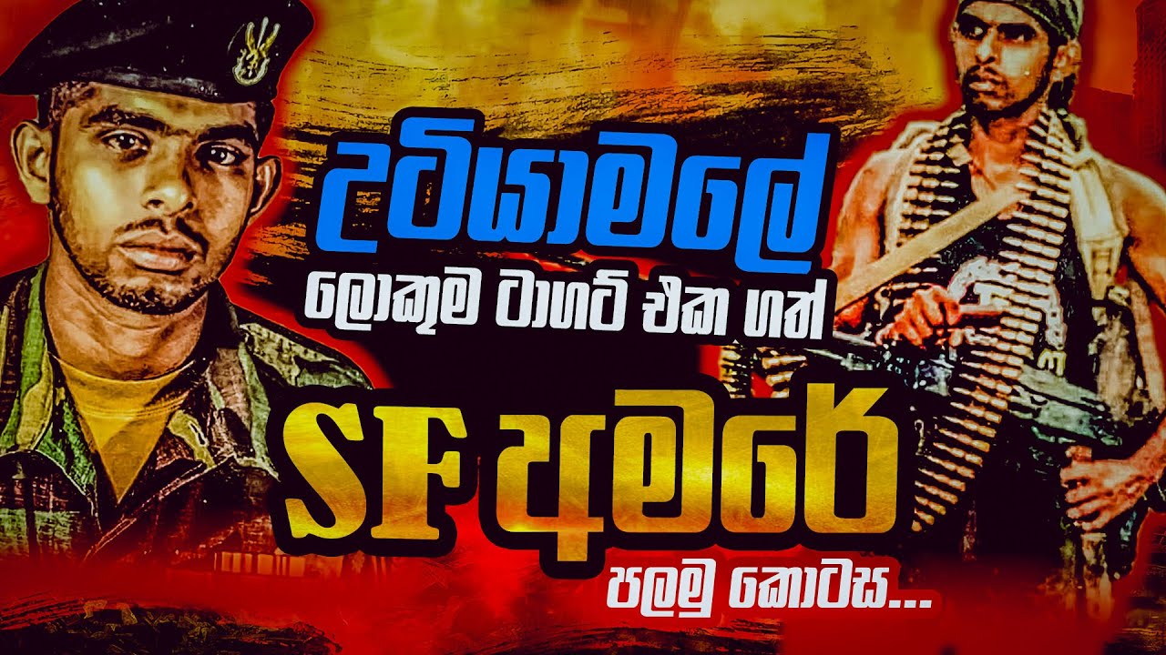 SF වැඩිම විරුවන් පිරිසක් ජීවිතය දන් දුන් සටනක බිහිසුණු මතකය අලුත් කල SF අමරේ | WANESA TV