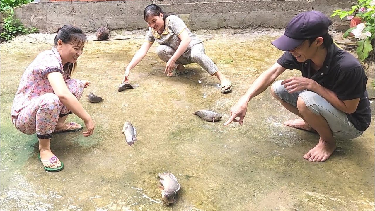 Phát Hiện Cá Rô Mề Nối Đuôi Nhau Lên Bờ Trong Ngày Mưa Bão Thấy Mà ham | TKQ & Family T1777