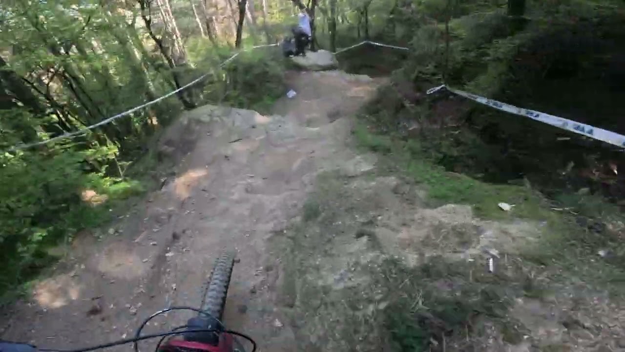 WINNING RUN - PETRICH MINI  DH 2025