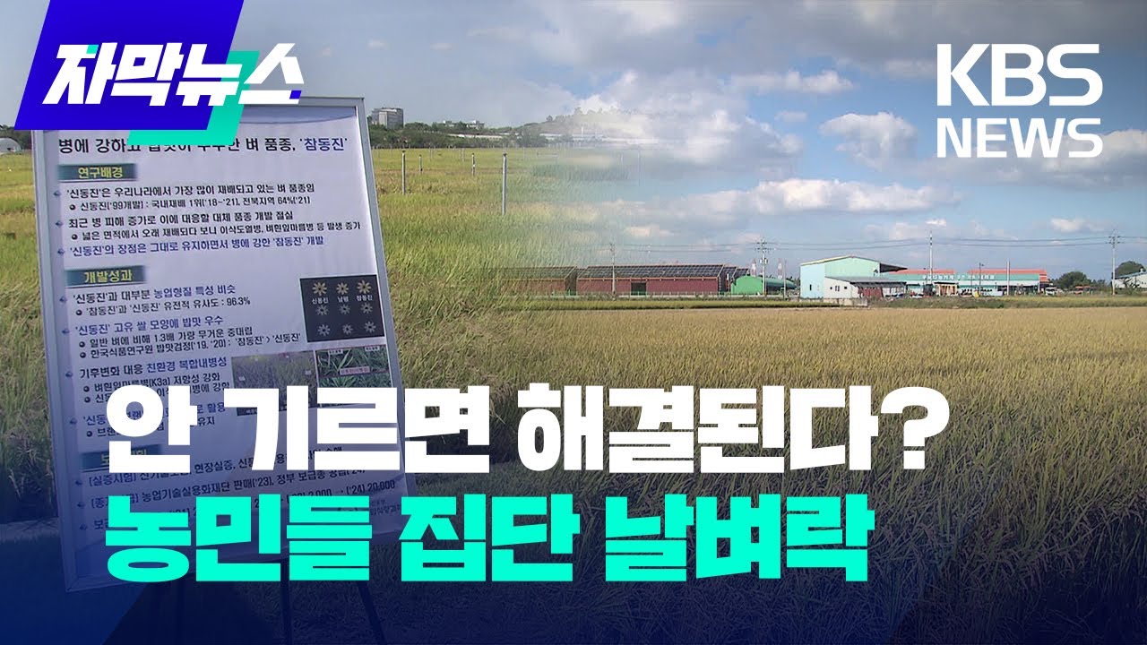 [자막뉴스] 안 기르면 해결된다?...신박한 대책에 농민들 집단 날벼락 / KBS 2023.02.18.