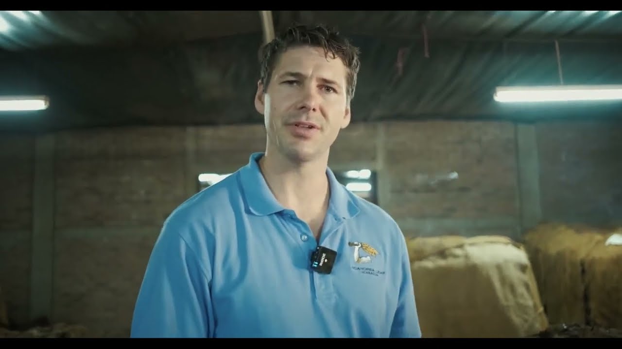 Discover the Aganorsa Leaf FUMA Experience in Iraq, Brought to You by Tenet Group