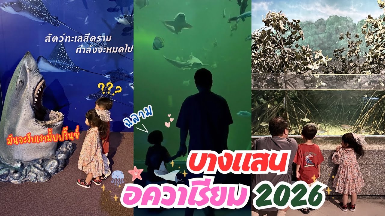 เที่ยวบางแสนอควาเรียม Bangsaen Aquarium 2026 ศูนย์การเรียนรู้โลกใต้ทะเล🫧🦈🪼