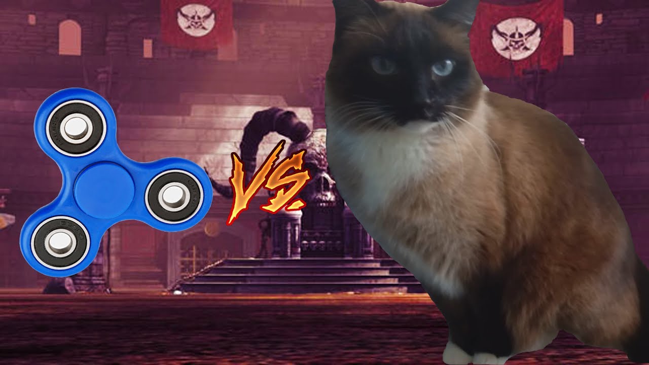 КОТ vs СПИННЕР