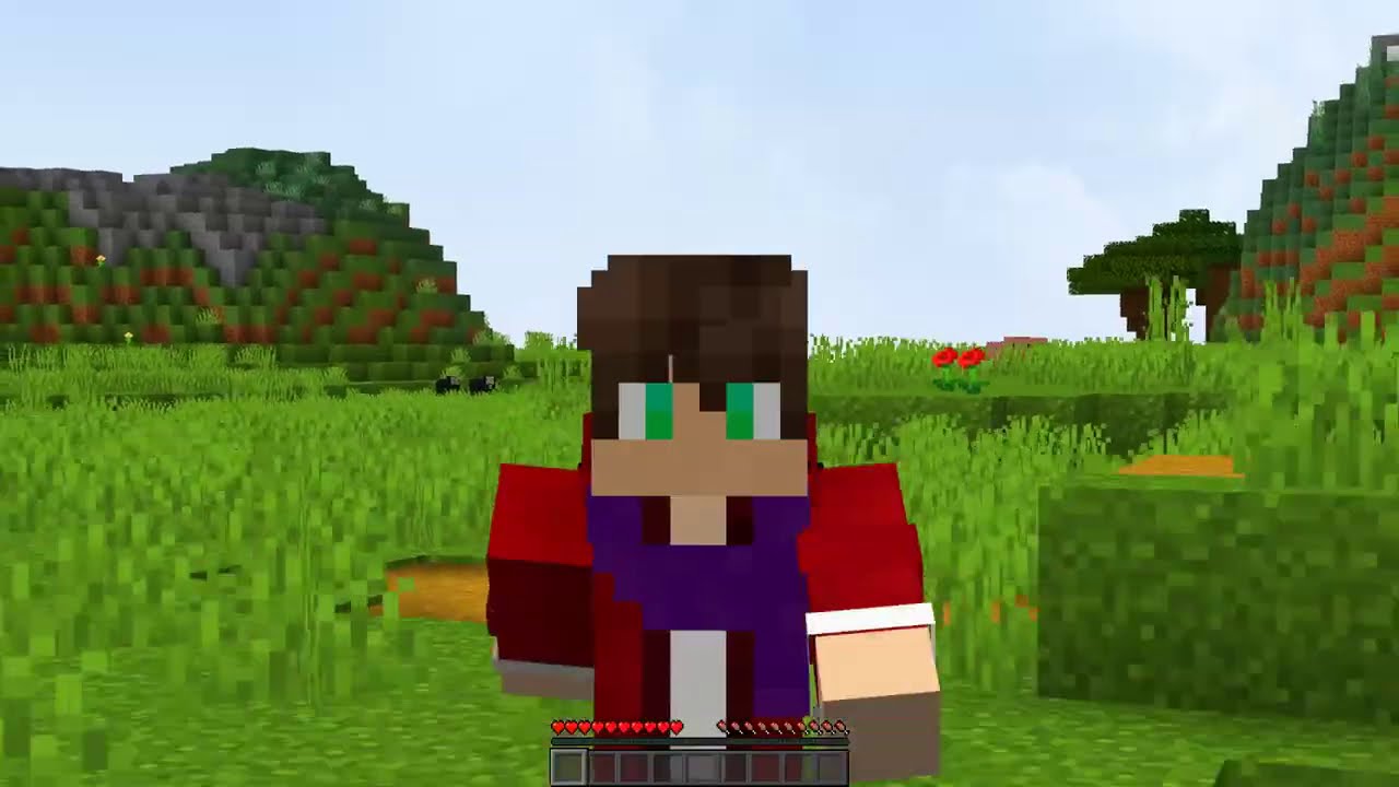 If Dream comments on this video I do daily uploads for 1 year