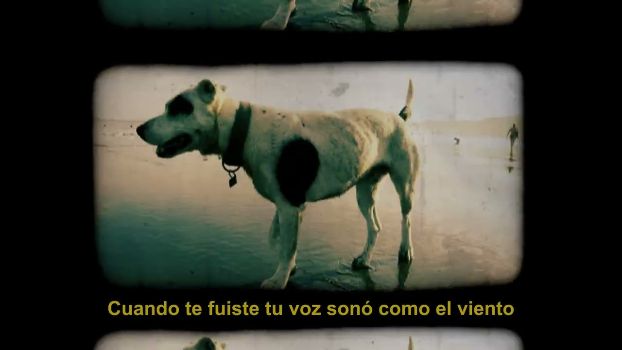 Vueltas - Sur (Video Oficial)