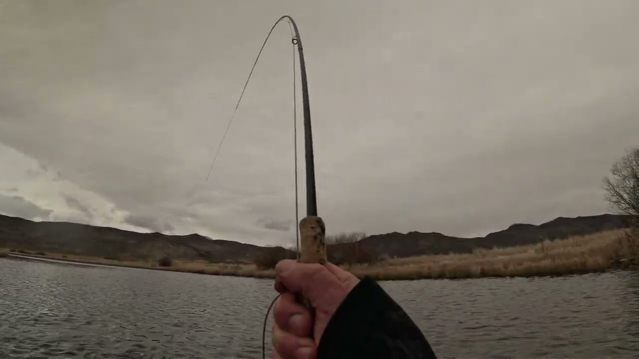 SilverCreek streamer action