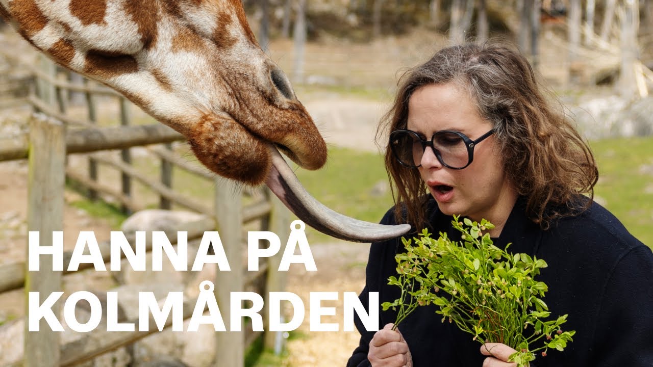 Hanna Hellquist åkte till Kolmårdens djupark
