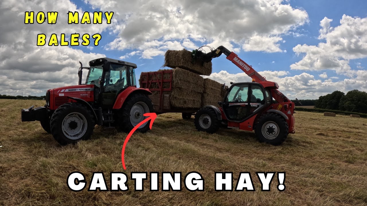 CARTING HAY WITH MASSEY FERGUSON 5455!