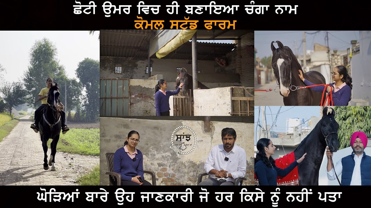 Komal Stud Farm | ਕੋਮਲ ਸਟੱਡ ਫਾਰਮ | Saffran Te.. EP 16 | Saanjh Dil Ton Dilan Di