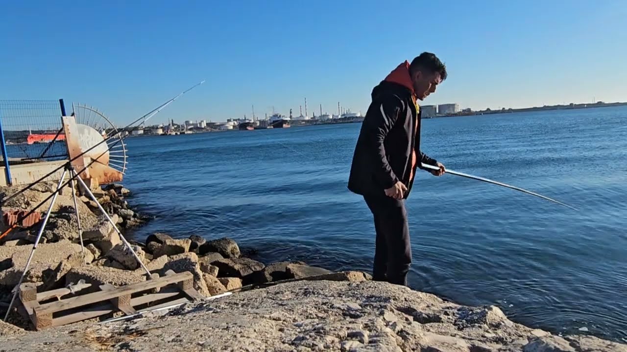 Poisson en direct, en mer Méditerranée, Loup, Daurades Royales, Janvier 2025 partie 2