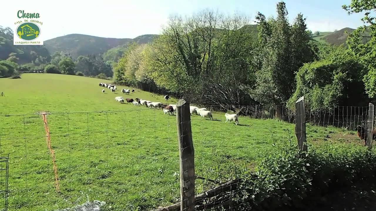 Producto astur de casa Chema. Cap. 5 "Cordero Xaldu"