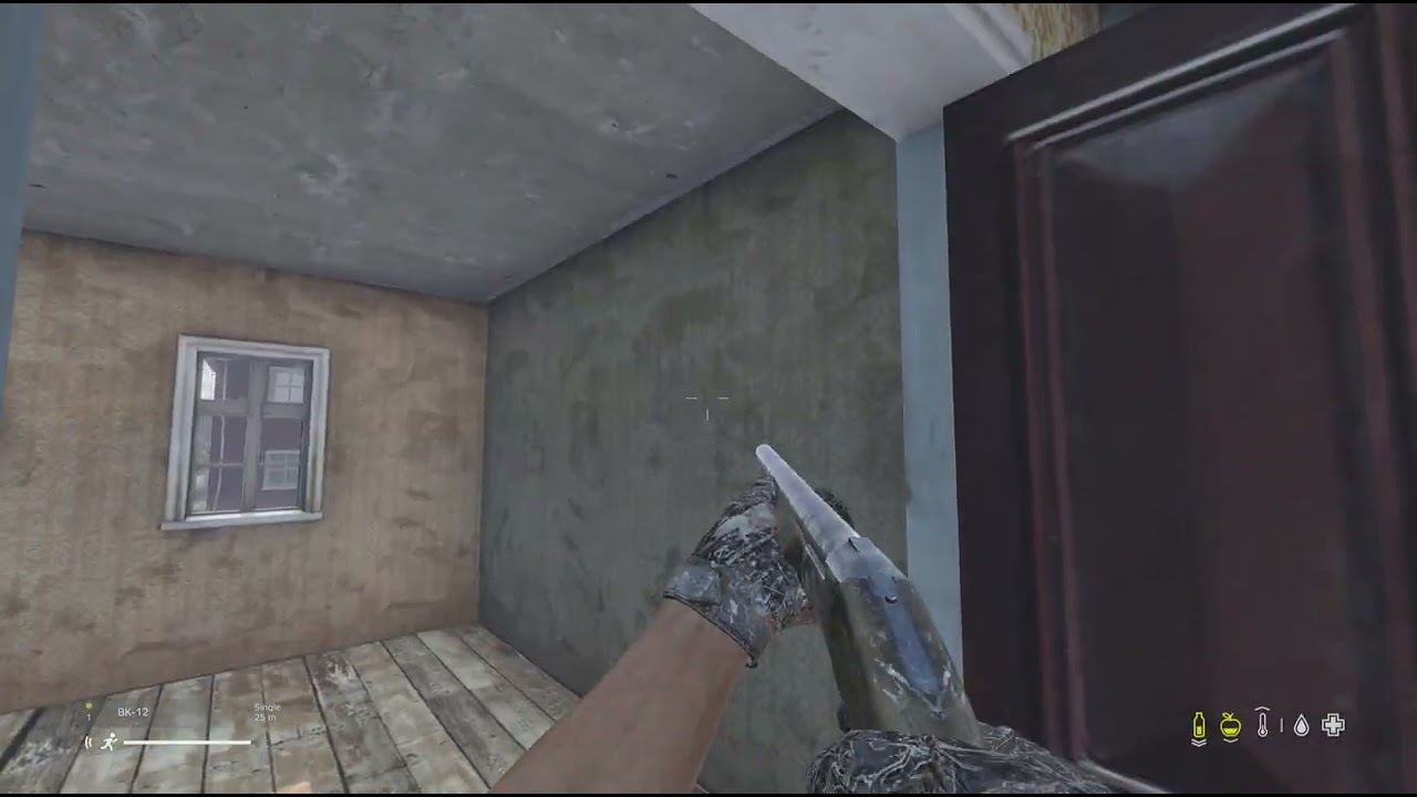 DayZ_Smoke room 1kill