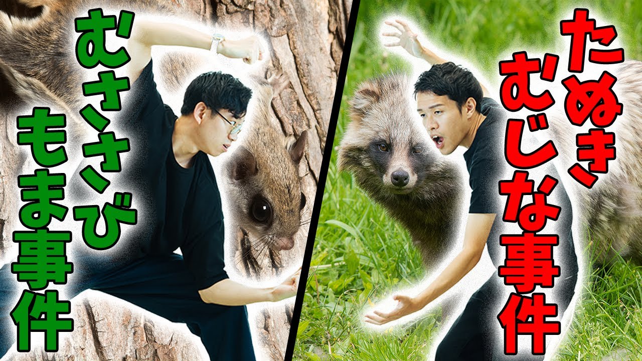 動物の名前で争ったおもしろ判例「たぬき・むじな事件」【公開収録3】#162