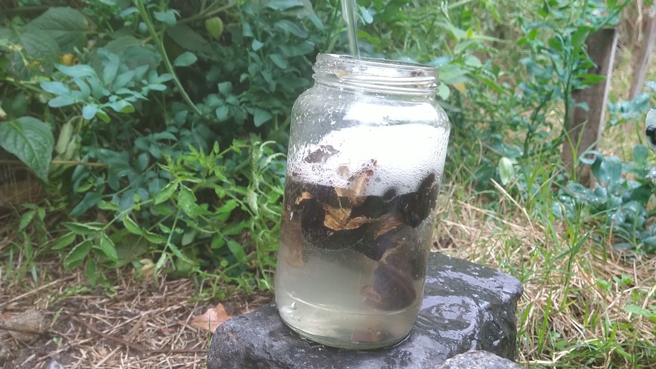 Cómo hacer jabón con frutos de timbó