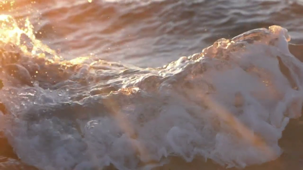 Natant feat. Alan Watts