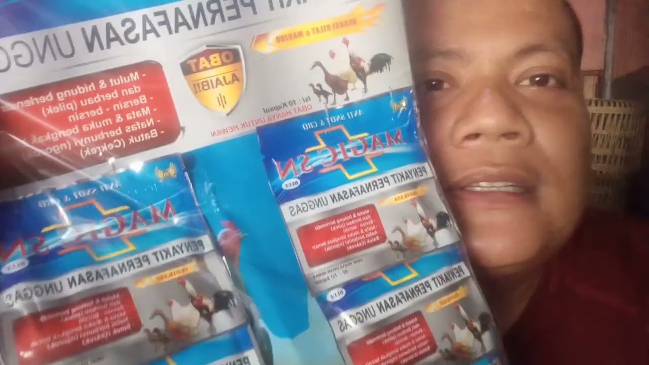 Cara jitu mengobati hewan unggas yang sakit.