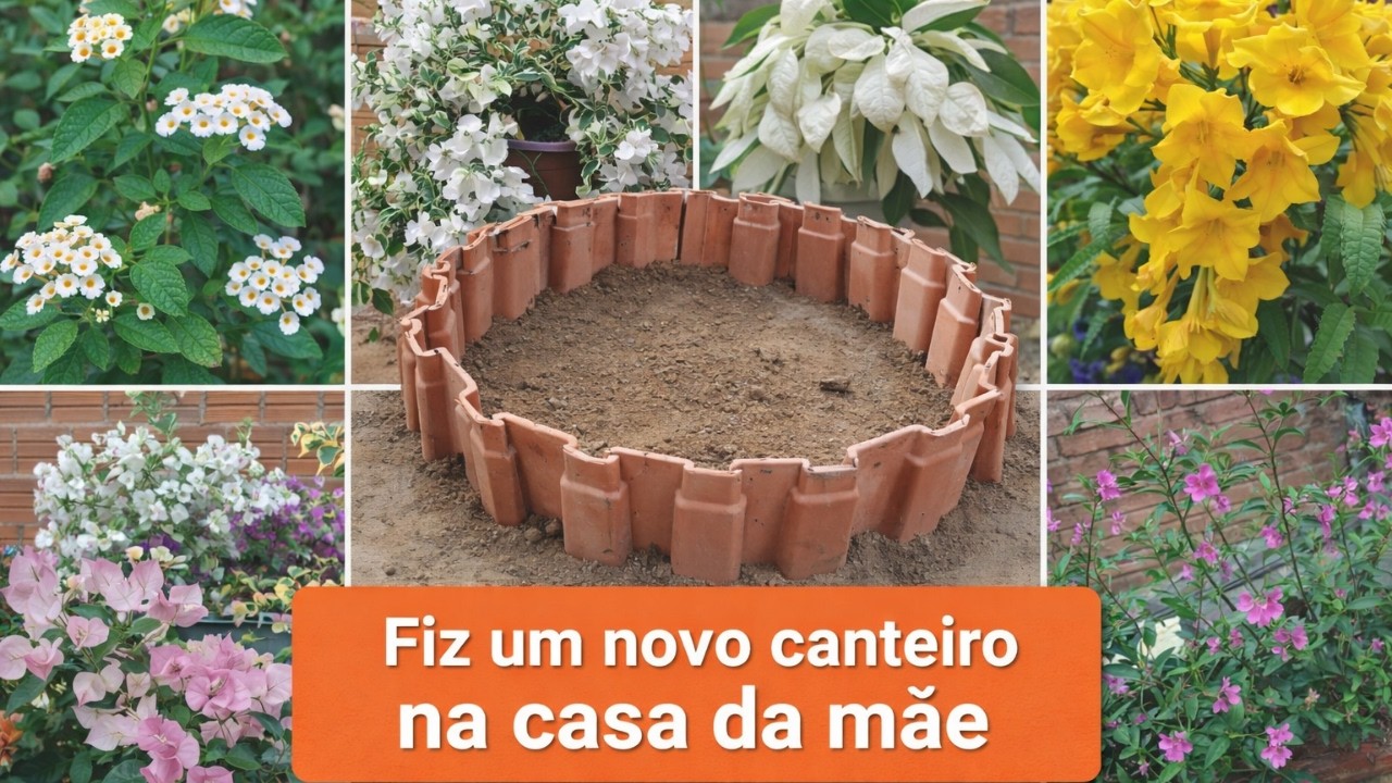 Fiz um novo canteiro no quintal da mãe 🌸