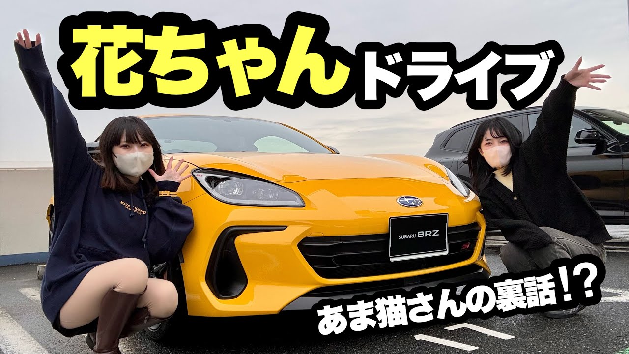 【花ちゃんと初ドライブ！】あま猫さんの裏話や花ちゃんの意外な素顔に迫ります...