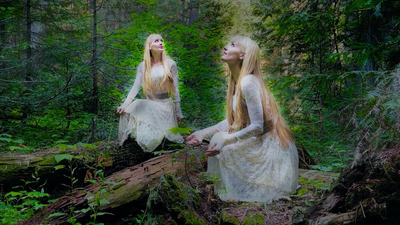 The Seer's Gift - Nordic/Celtic Lullaby - Harp Twins original