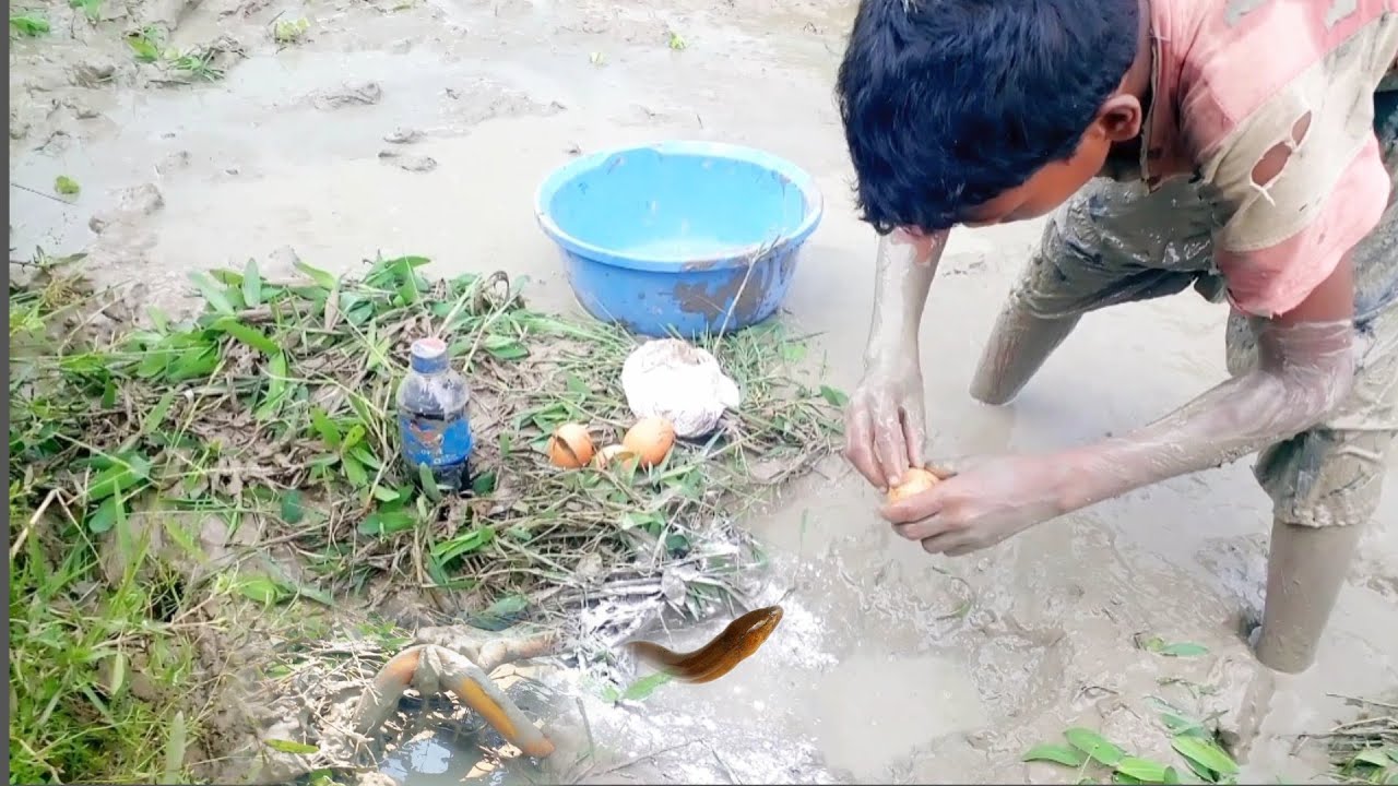 Best Eel Fishing | Catching Eels With Eggs | fishing life