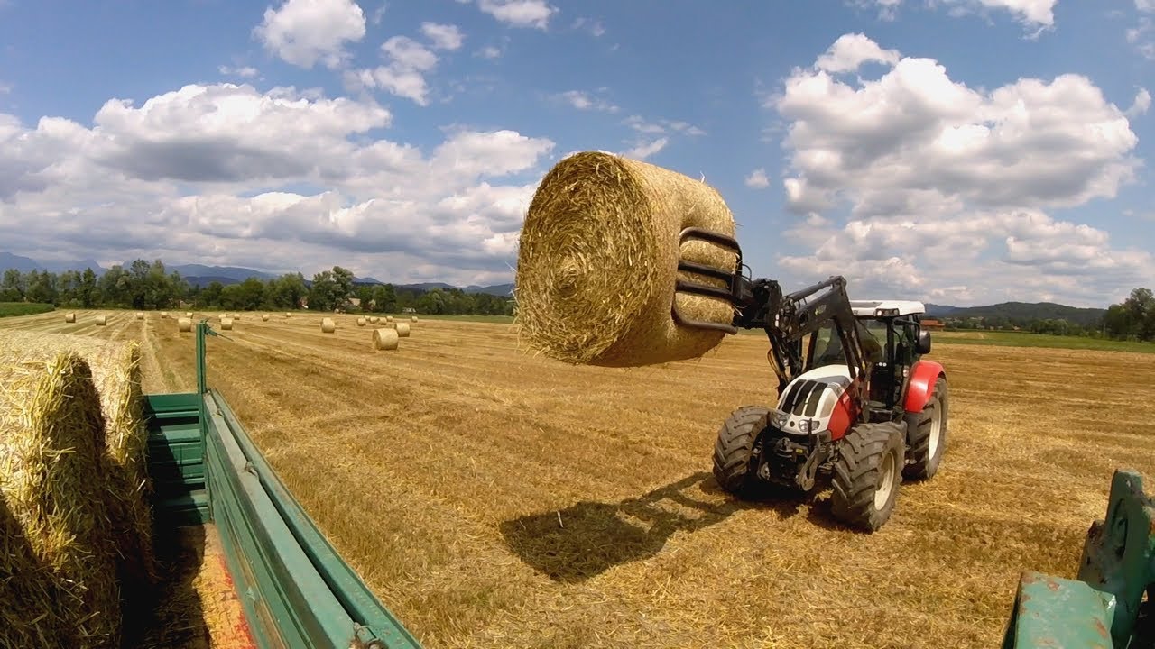 Summer Farming
