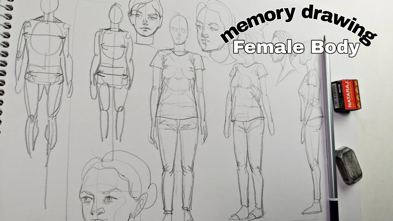 Memory Drawing/how to draw female body