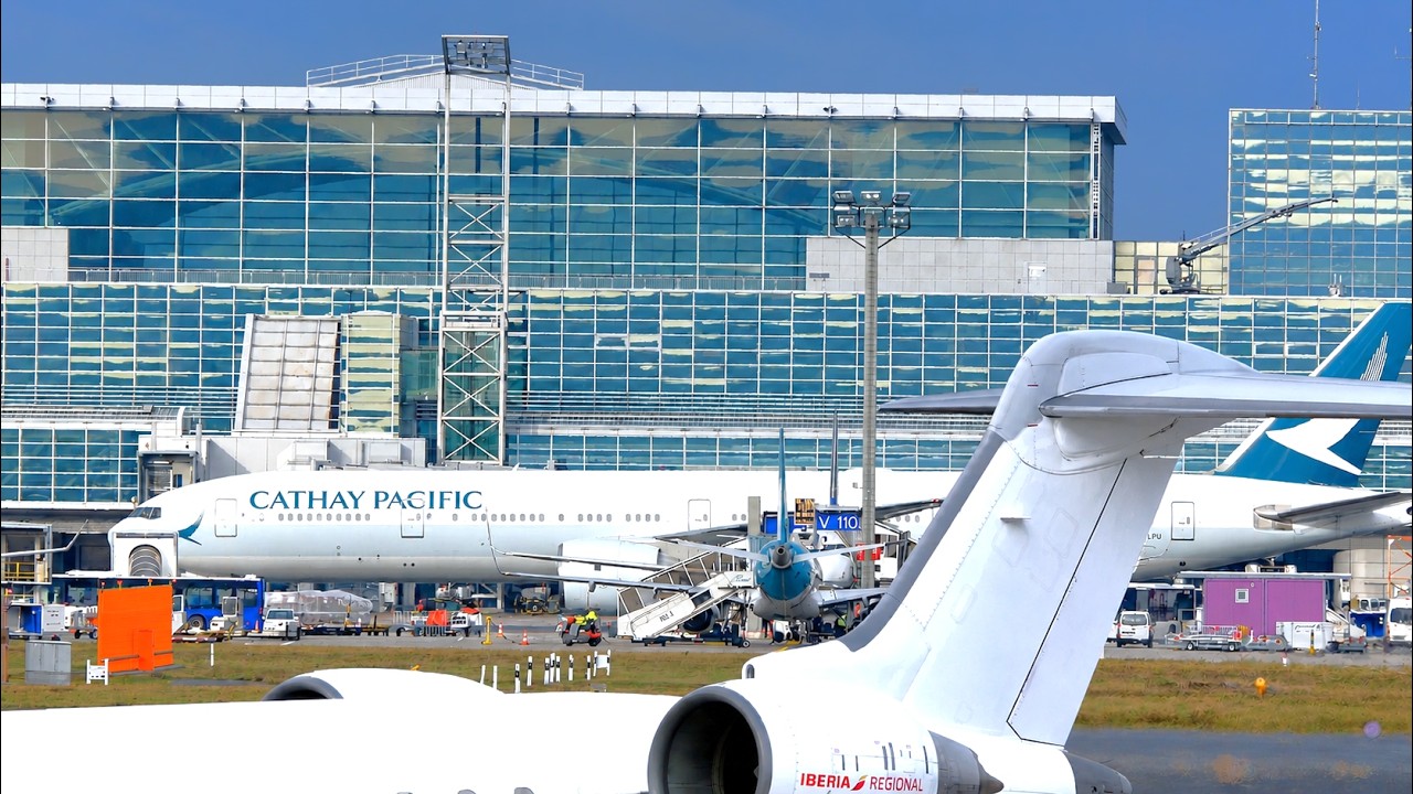 MASSIVE Aircraft Traffic | Frankfurt FRA Airport Action | Plane Spotting Rush Hour 4k
