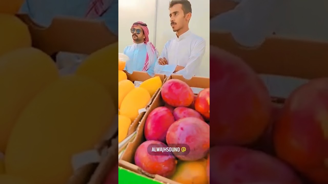 تغطية لرعاية سعادة محافظ املج نايف المريخي لمهرجان المانجو الأول بأملج #املج #صوت_الوجه