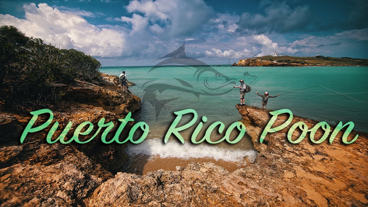 Puerto Rico Poon