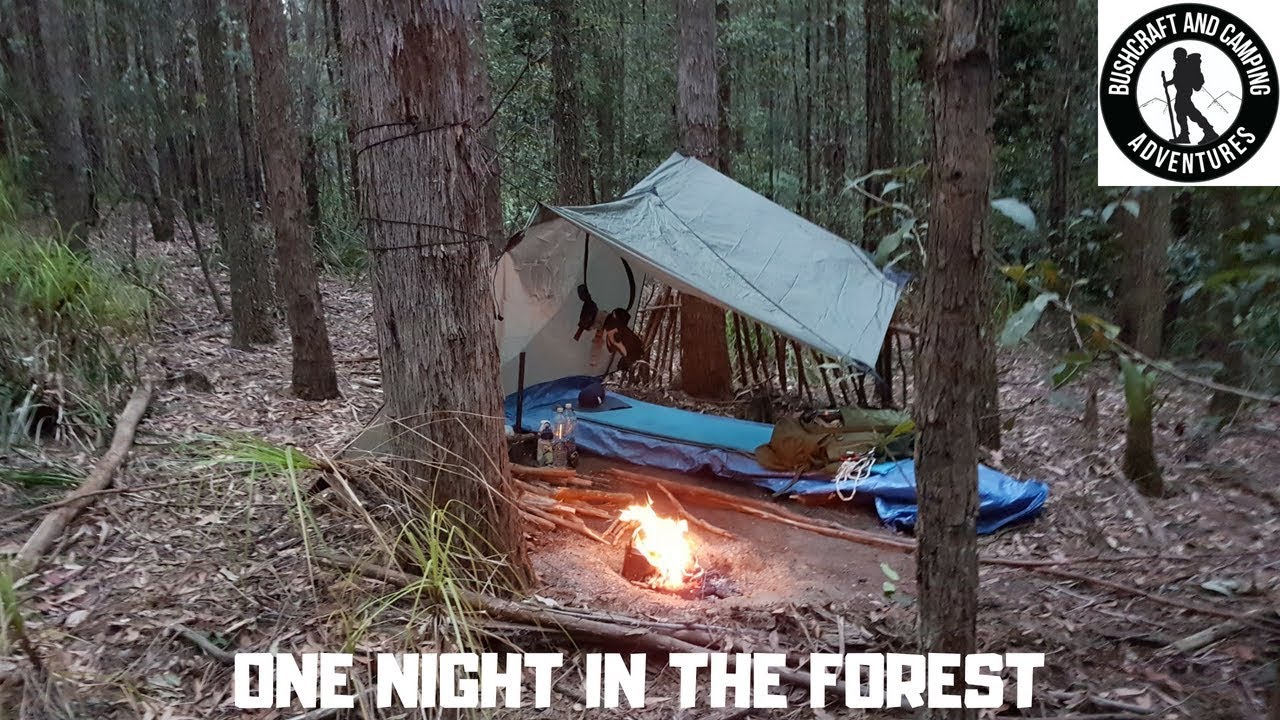 A one-night stay in The Pines, Watagans National Park (New South Wales, Australia)
