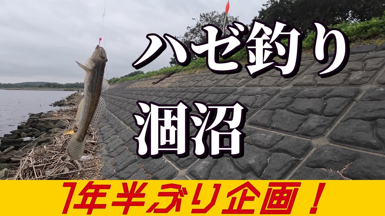 ハゼ釣り　涸沼（ひぬま）