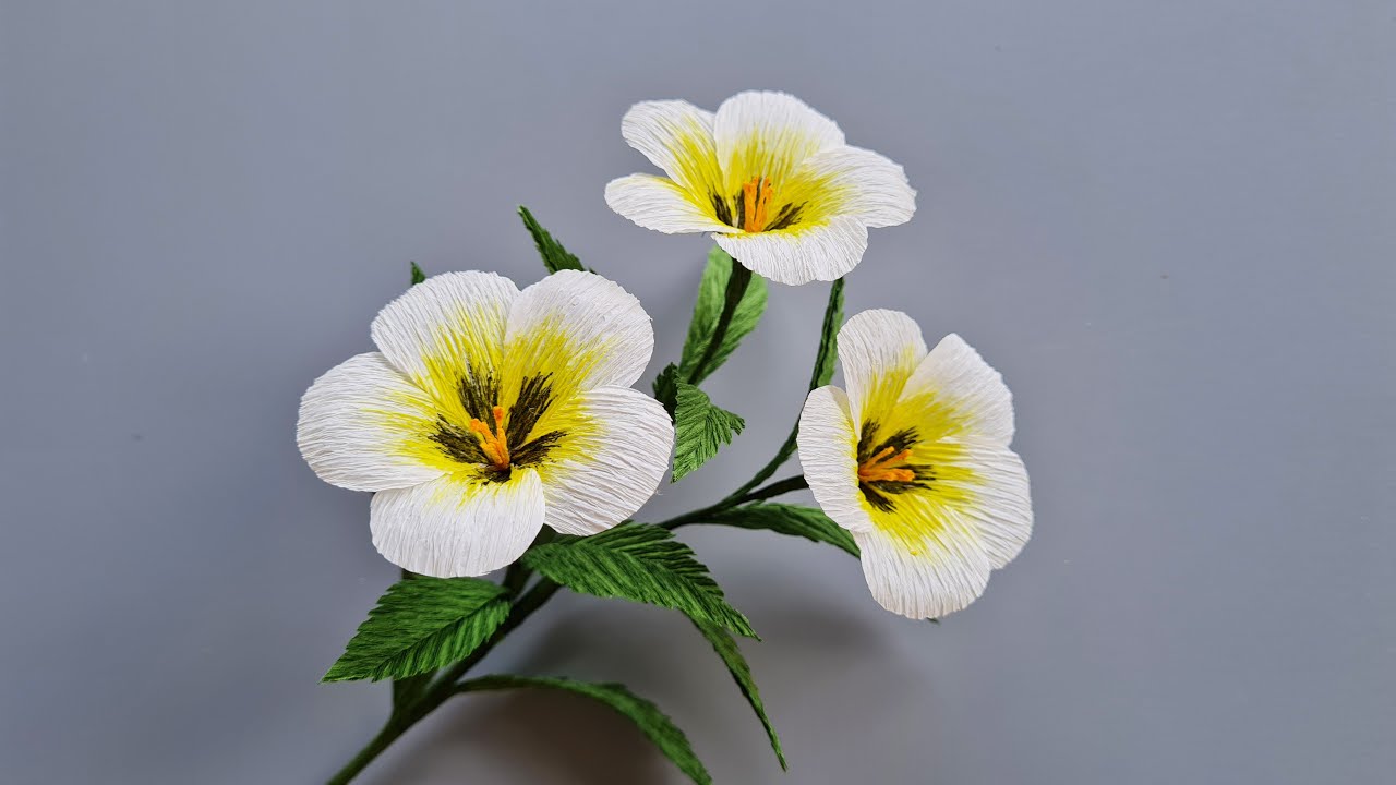 How To Make Turnera Ulmifolia Paper Flower / Paper Flower / Góc nhỏ Handmade