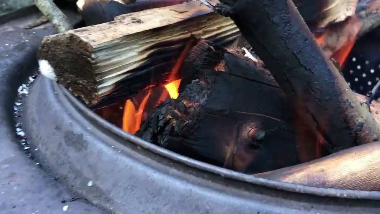 🏞️🔥 | BBQ & Relax by the River! Doğanın Kalbinde Mangal Keyfi! 