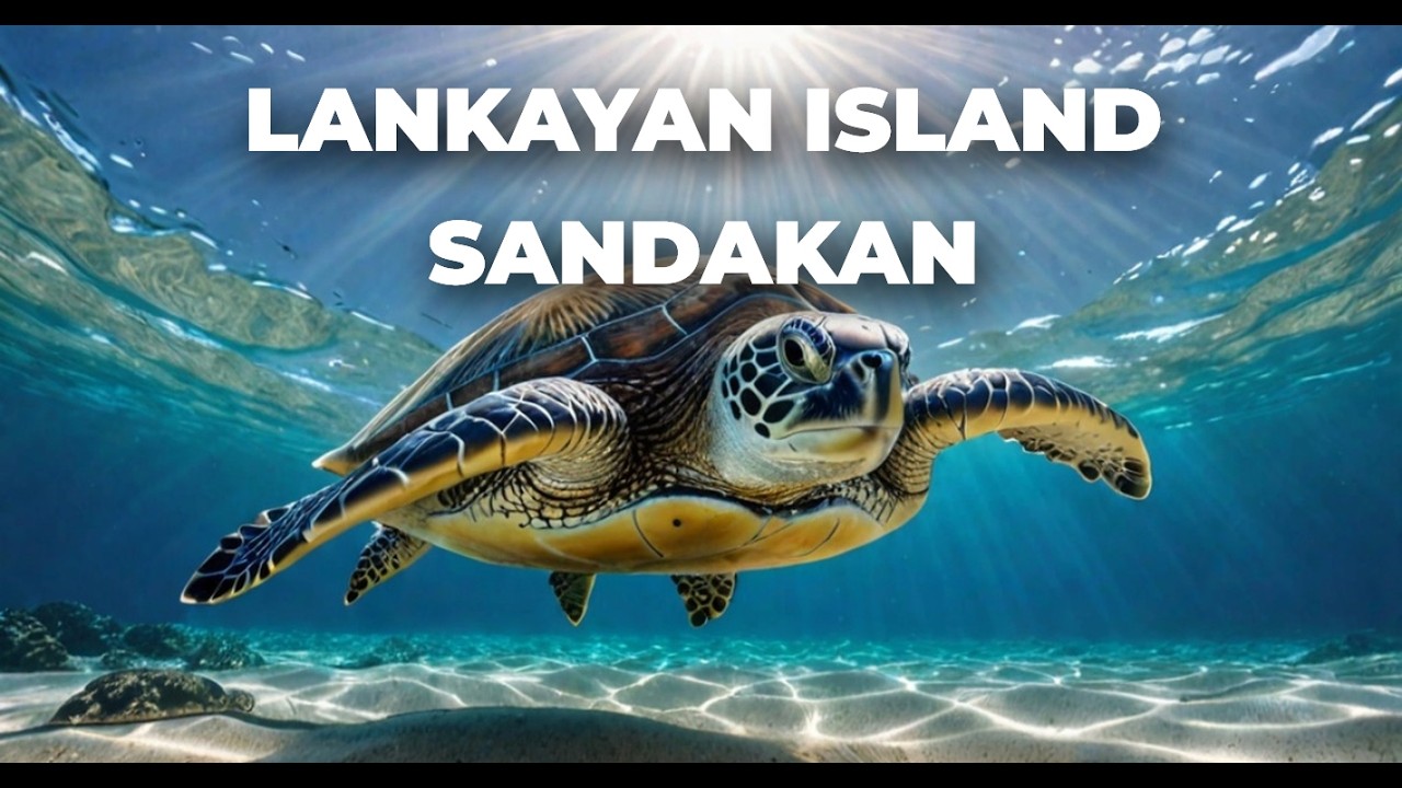 Discover Lankayan Island: Dive into Sabah's Marine Paradise