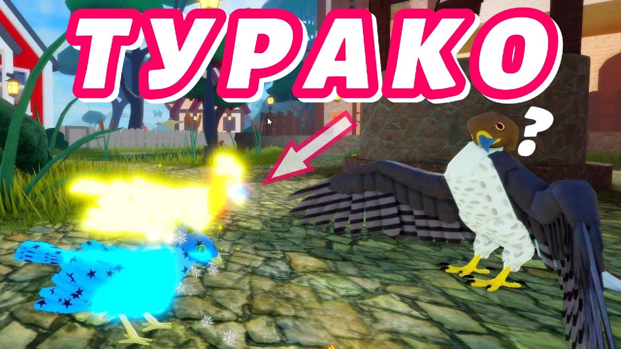 🐤ТУРАКО Новая Птица Семья Птиц Роблокс #featherfamily #семьяптиц #roblox #роблокс #sofiaplayinggames