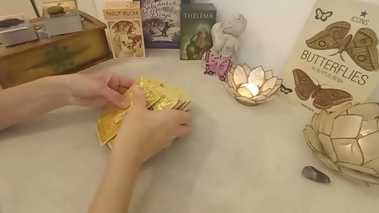 ✨🦋TU PRÓXIMA PAREJA AL DETALLE🦋✨ Tarot interactivo