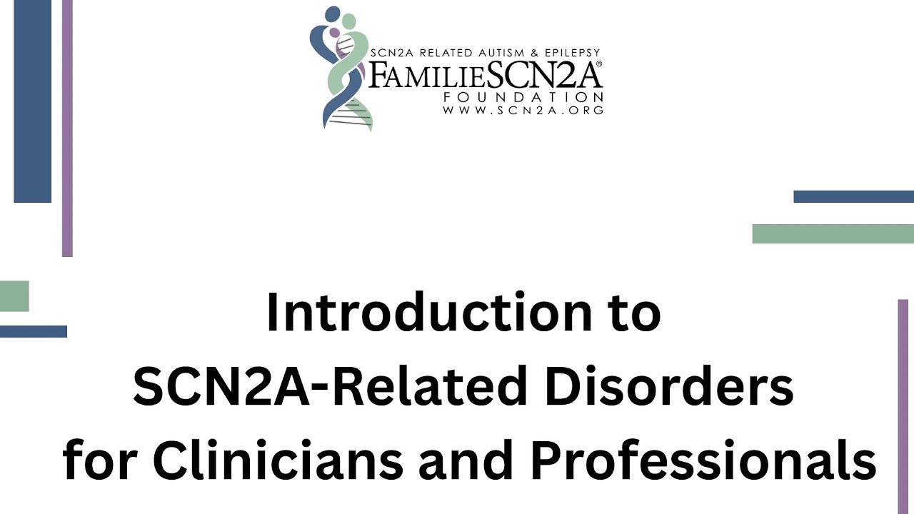 Introduction to SCN2A-Related Disorders for Clinicians and Professionals