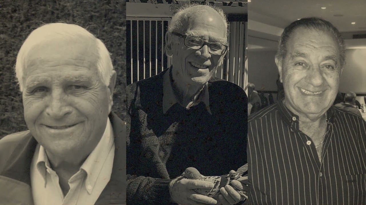 AfrikaPro One Loft Series