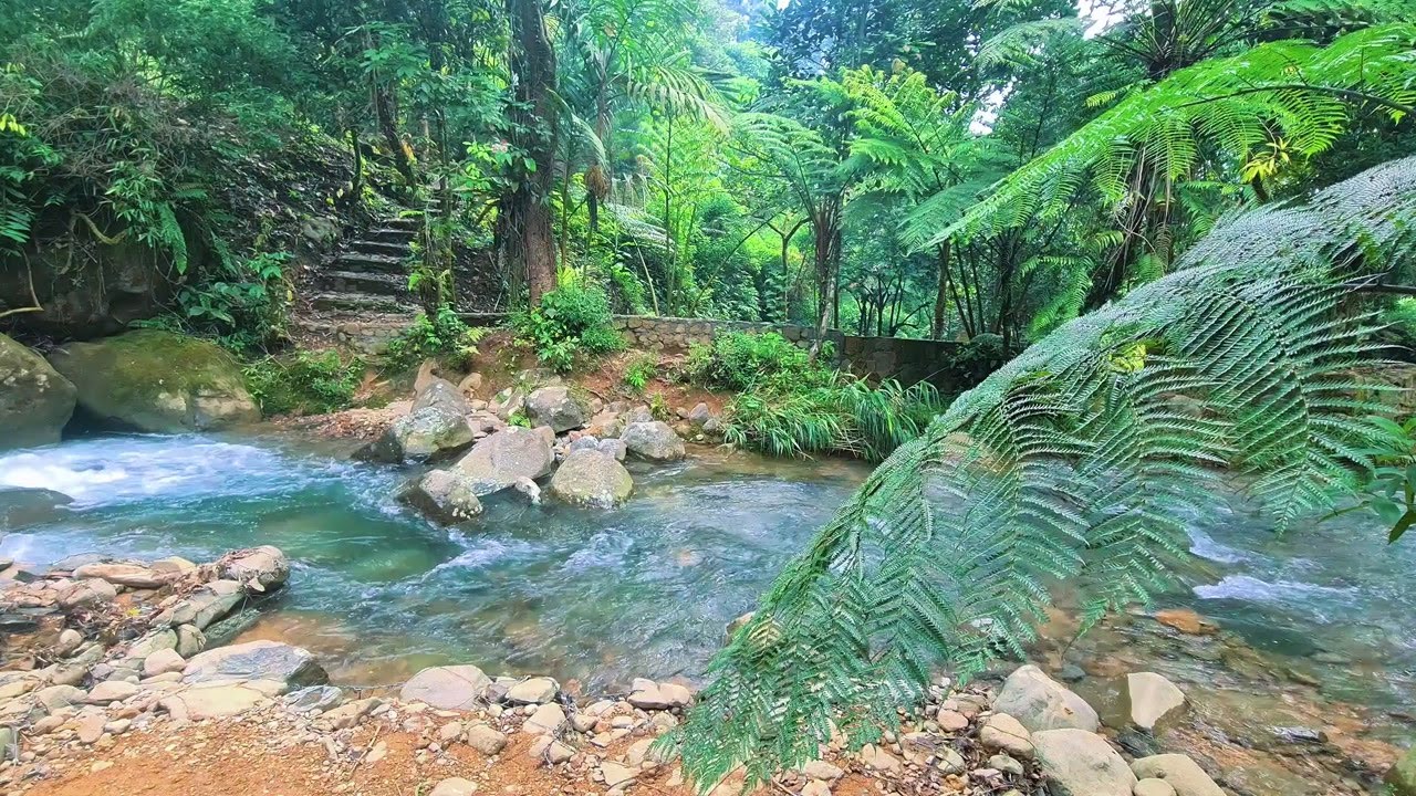 Serene River Under Moonlight – Peaceful Flowing Water Ambience for Sleep