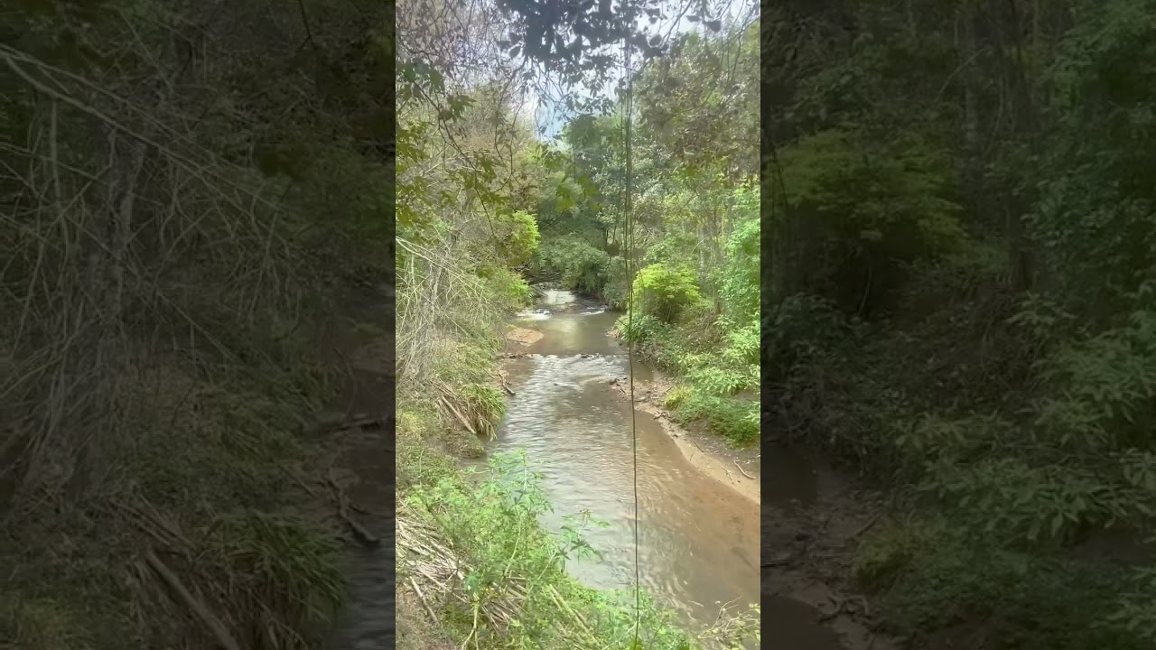 Ch&aacute;cara Com Rio Nas Margens E Pomar Com 42 Jabuticabeiras No Sul De Minas Gerais