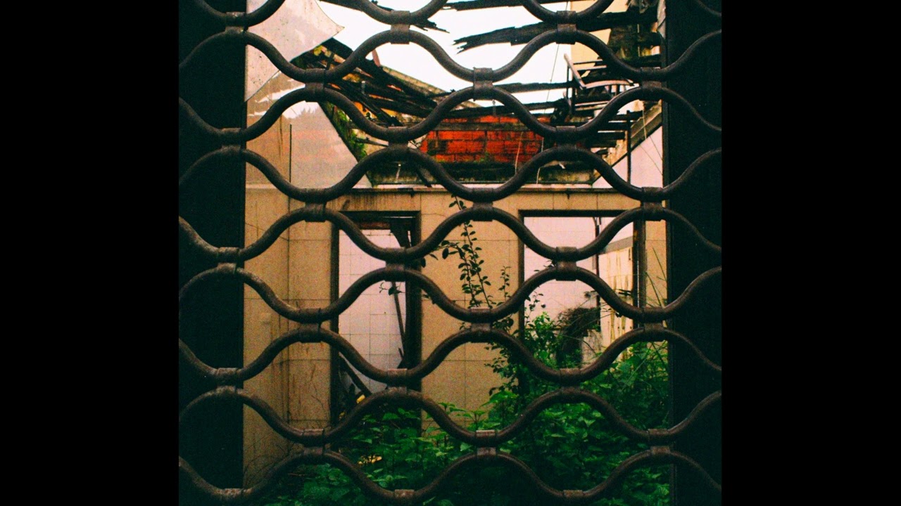 Laurie Shaw - Hyphen