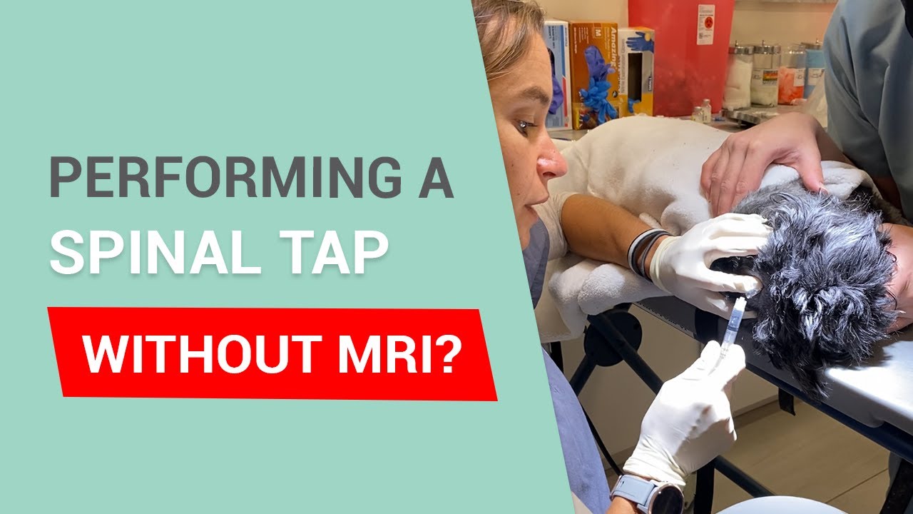 Can a Spinal Tap Be Performed By Itself?