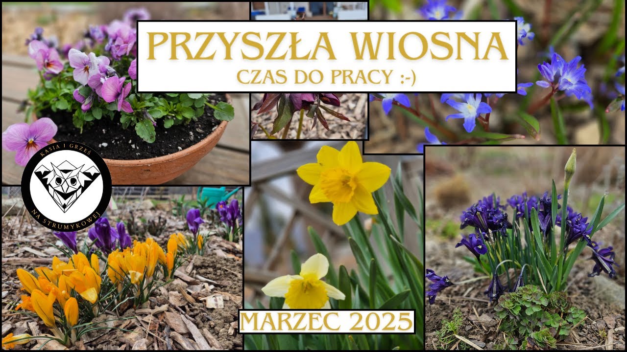 Przyszła WIOSNA