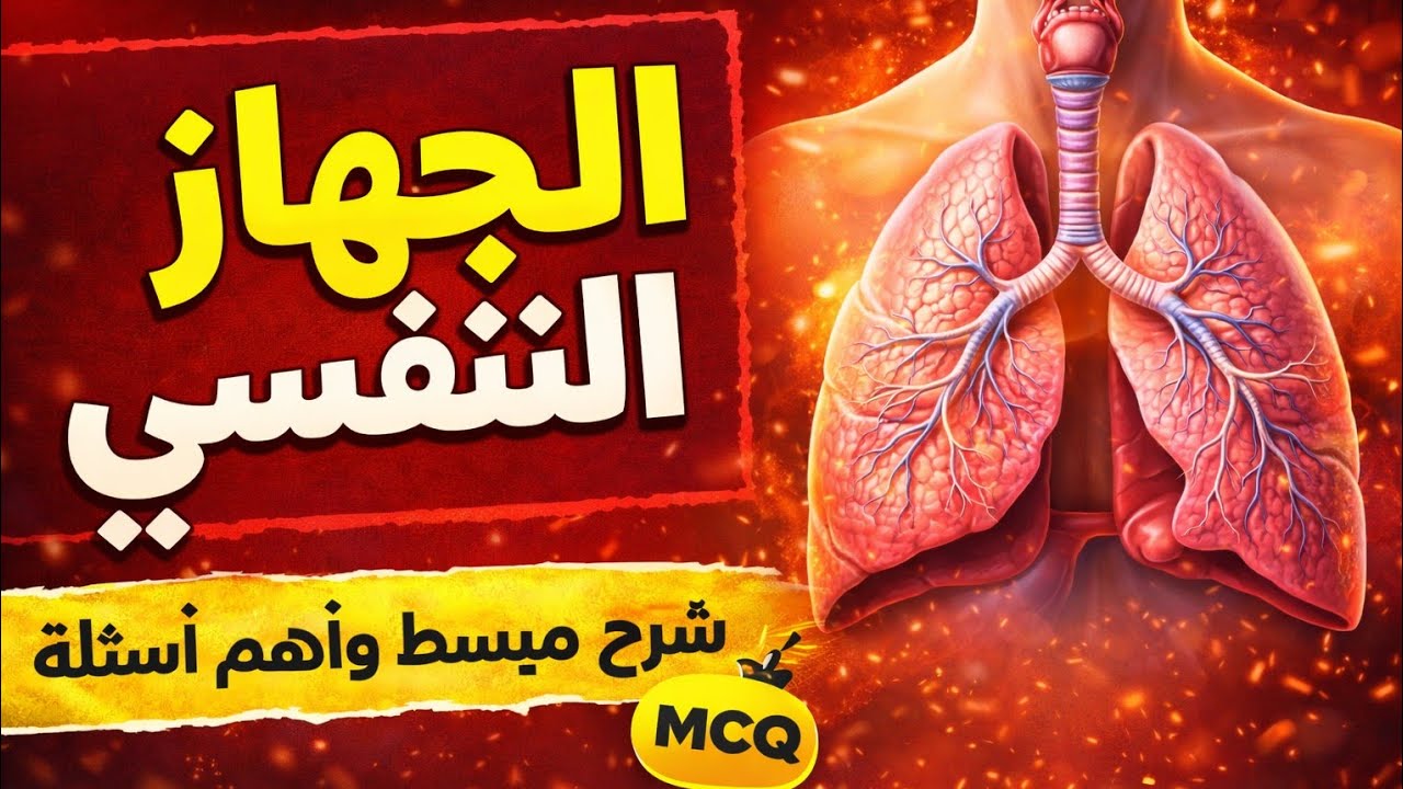 الجهاز التنفسي/تشريح الرئتين 